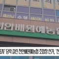 [영상] '1표차' 당락 갈린 천안배원예농협 조합장 선거, '선거무효' 선고