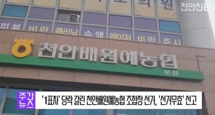 [영상] '1표차' 당락 갈린 천안배원예농협 조합장 선거, '선거무효' 선고